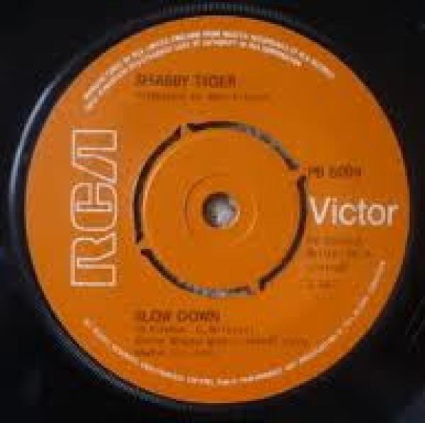 Shabby Tiger - Slow Down